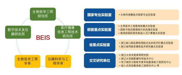 醫械筑夢·交叉融創 生物醫學工程專業的多維視野與發展前景